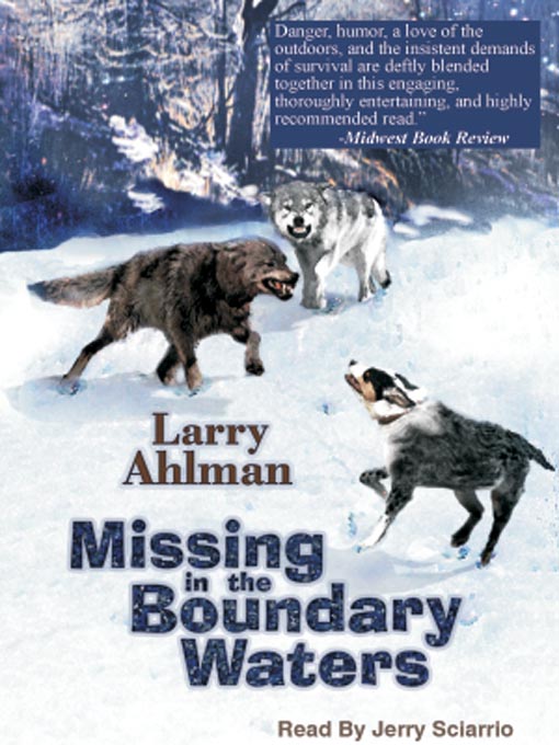 Title details for Missing in the Boundary Waters by Larry Ahlman - Available